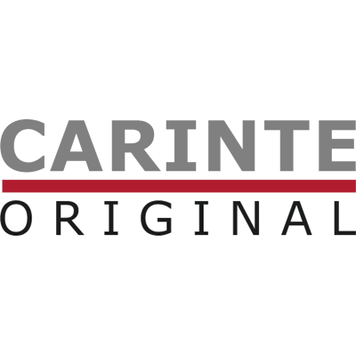 brand_logo_carinte